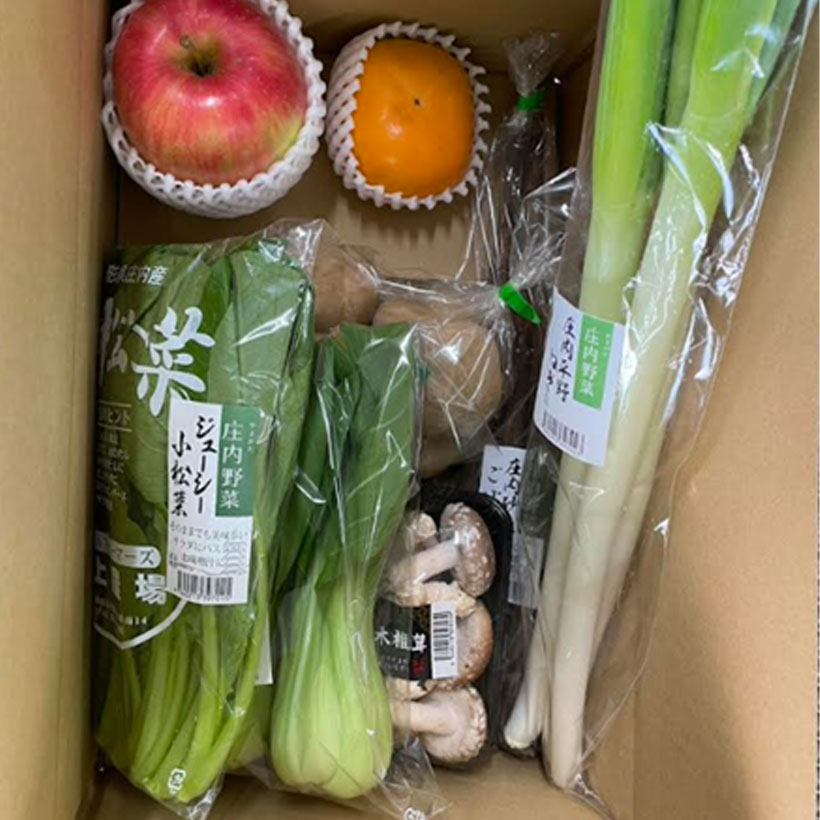 Vegetable & Fruit Set