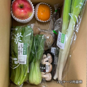 おまかせ旬の野菜と果物セット