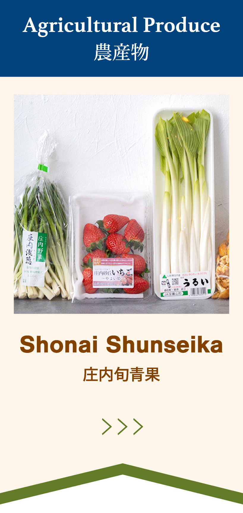 Shonai Shunseika